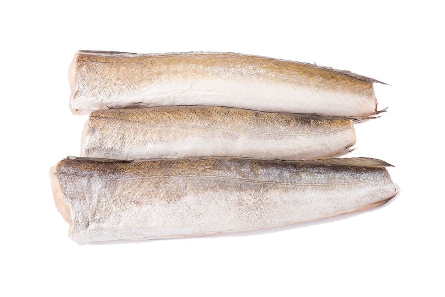 Hake – morská šťuka