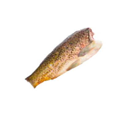 Kapor