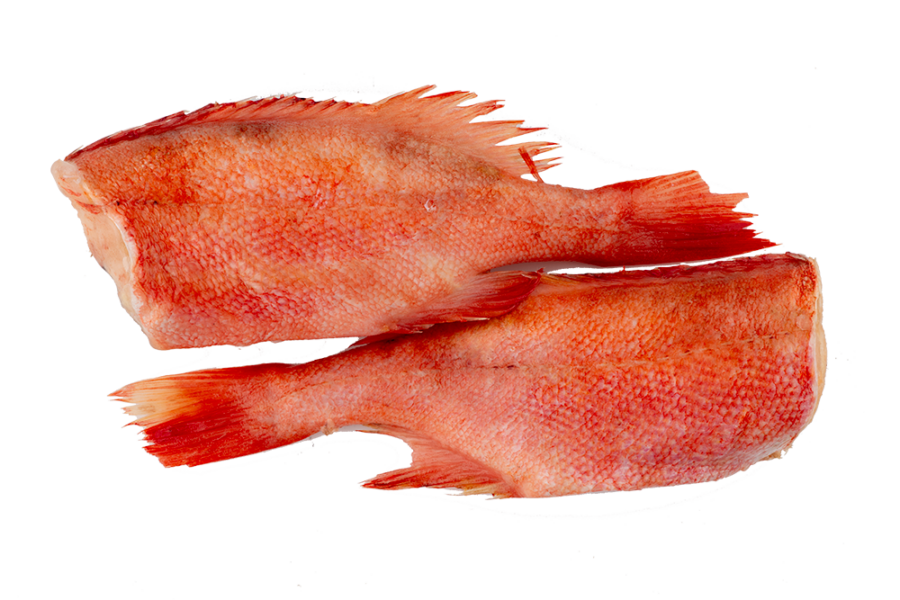 Morský ostriež
